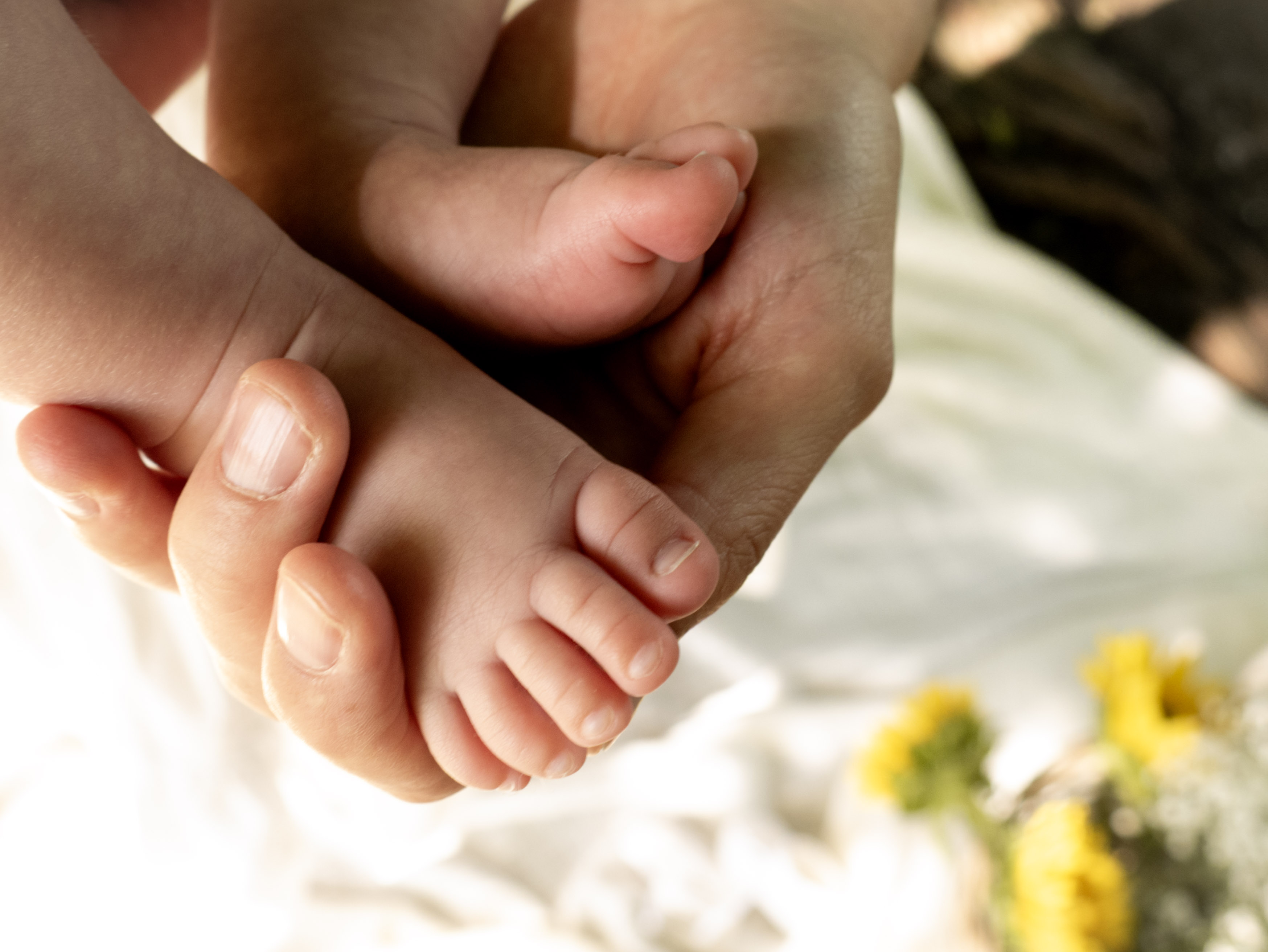 Newborn photography
